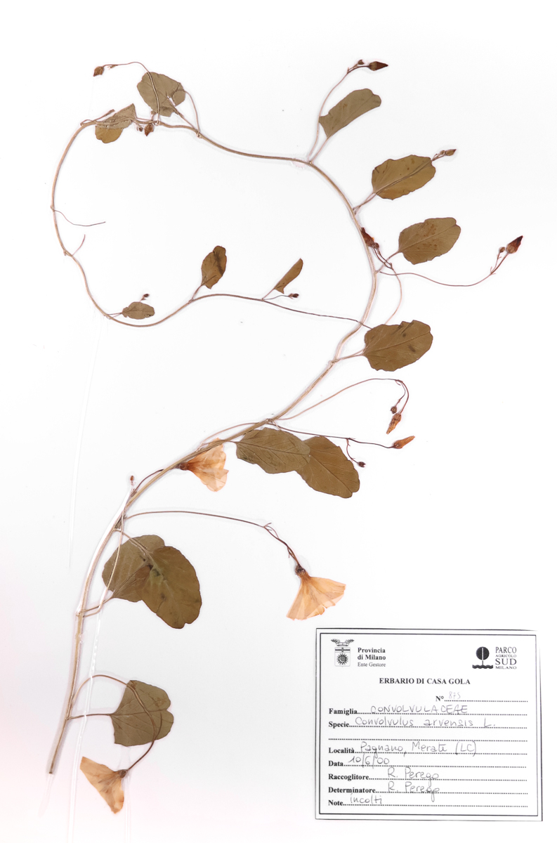 0875