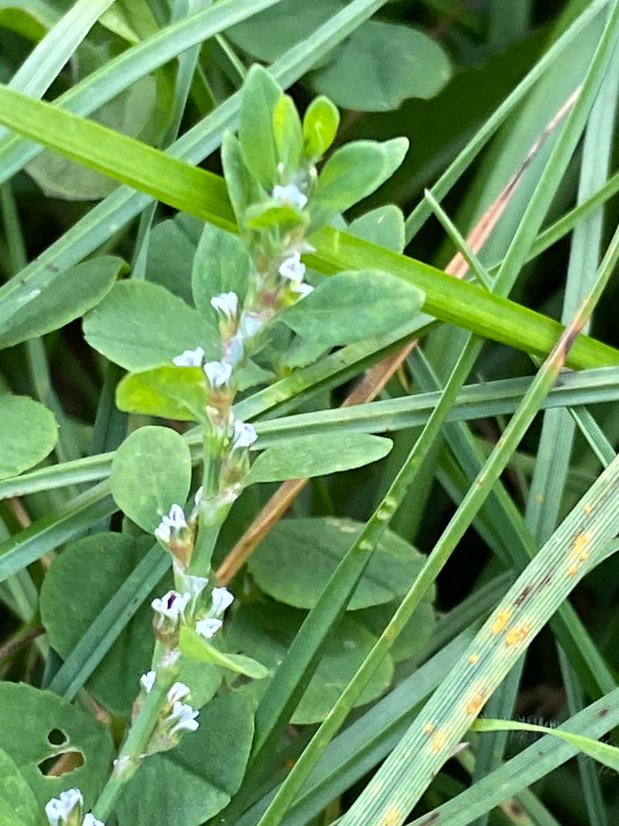 2881 Poligono arenastro 05